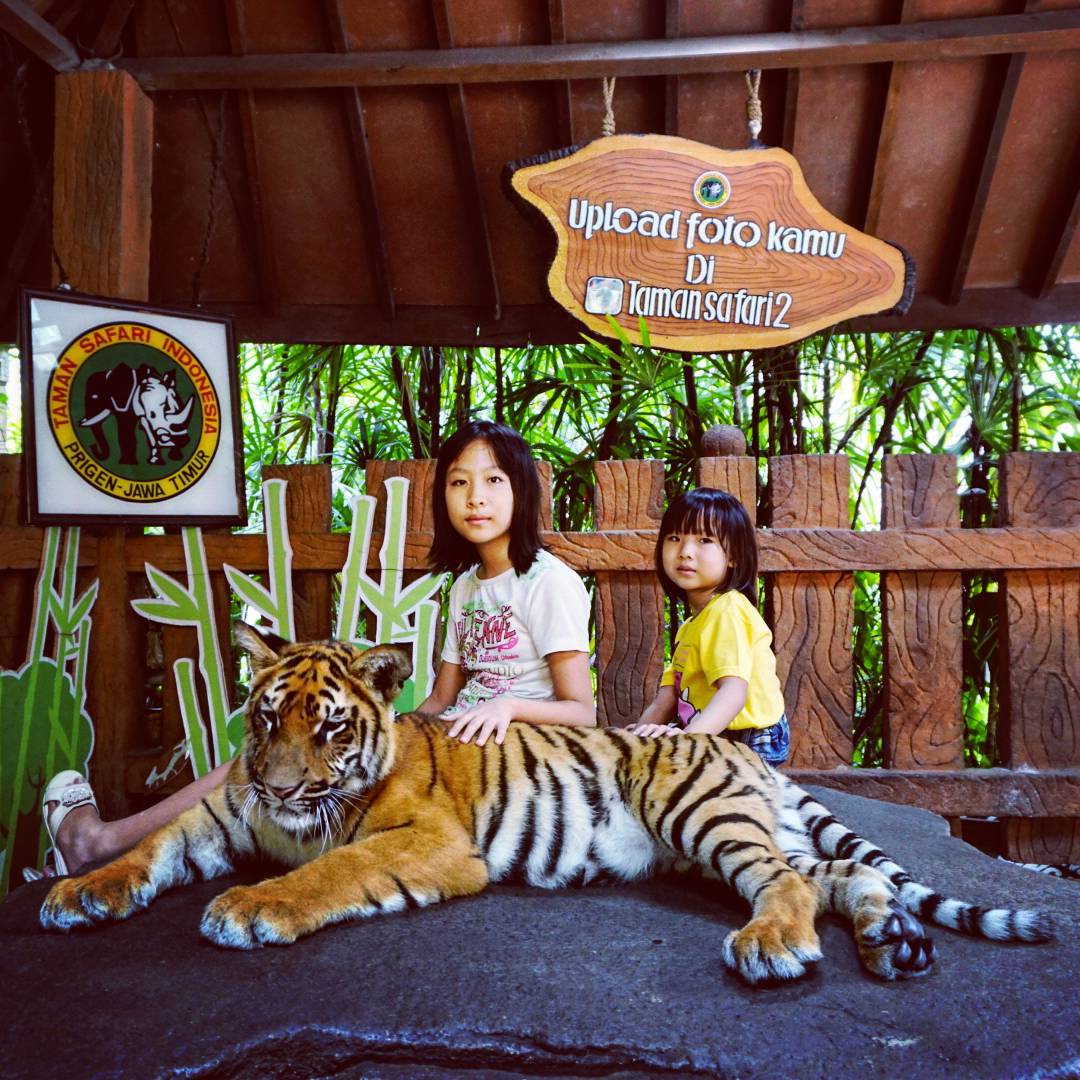Taman Safari Indonesia Prigen Pasuruan
